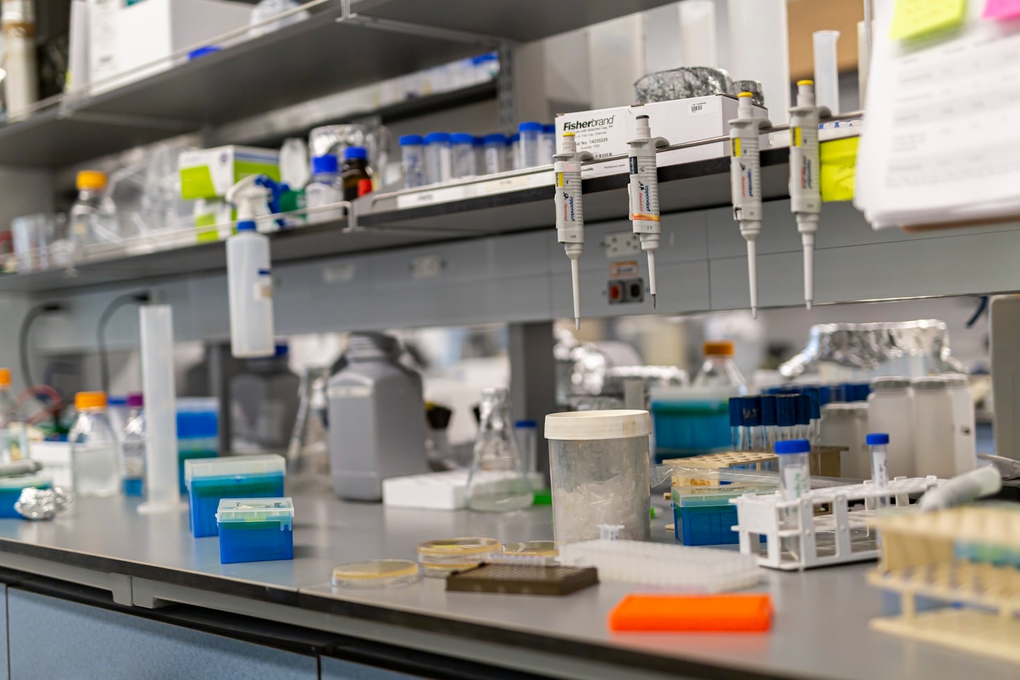 A importância da reposição hormonal na menopausa